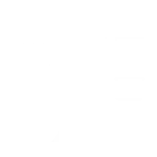 Website Icon